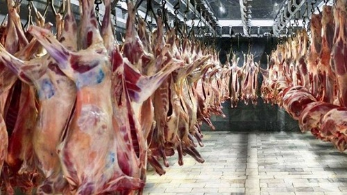 افزایش قیمت گوشت قرمز در خراسان رضوی ربطی به فرآیند تامین آن ندارد