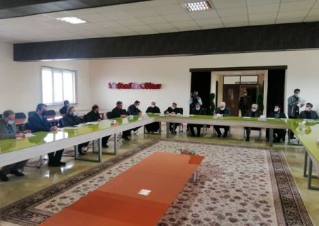 ضرورت تشکیل اوسِک برای جلوگیری از خروج مالکیت زعفران از دست ایران