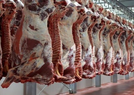 خراسان رضوی رتبه نخست کشور در تولید گوشت قرمز