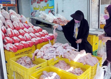 قیمت گوشت مرغ در مشهد کاهش یافت