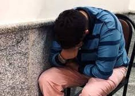 محاکمه سرکردگان شبکه مخوف گربه های وحشی