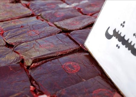 ۴۶۰ کیلوگرم حشیش در قالب ۵۲ بسته کشف شد