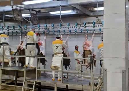 مدیر موسسه عنوان کرد: انجام خدمات ذبح دام قربانی توسط موسسه صنعتی گوشت مشهد در روز عید