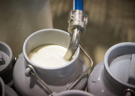 مرکز آمار می‌گوید تولید شیر در ۱۴۰۱ افزایش داشته، در حالی که کاهش داشته است