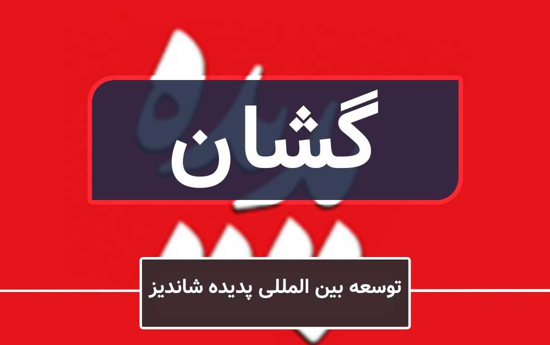 بانک صادرات به عنوان سهامدار بزرگ می‌توانست از سهام حمایت کند