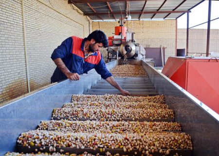 صادرات ۳۰ میلیون دلاری پسته خوشاب به کشورهای اروپایی و آسیایی
