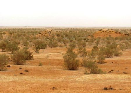 بالغ‌بر ۸۰ درصد اراضی خلیل‌آباد ملی و مرتعی است