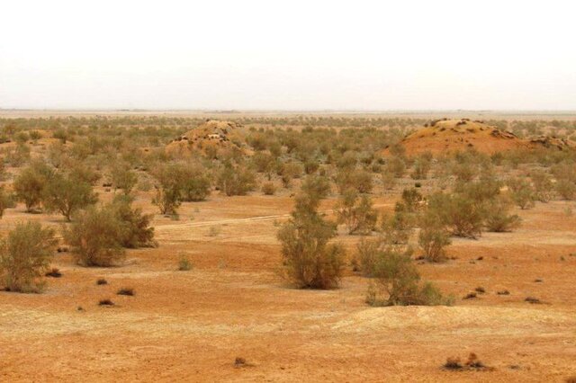 بالغ‌بر ۸۰ درصد اراضی خلیل‌آباد ملی و مرتعی است