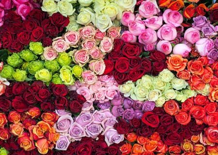 کمترین نرخ گل روز مادر در مشهد، شاخه ای ۴۰۰ هزار ریال است
