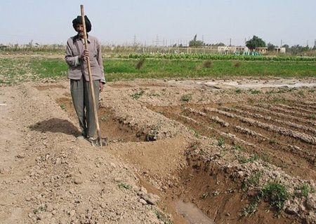 ضربه به تولید با تصمیم‌گیری برای خاموشی چاه موتورهای کشاورزی