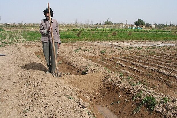 ضربه به تولید با تصمیم‌گیری برای خاموشی چاه موتورهای کشاورزی