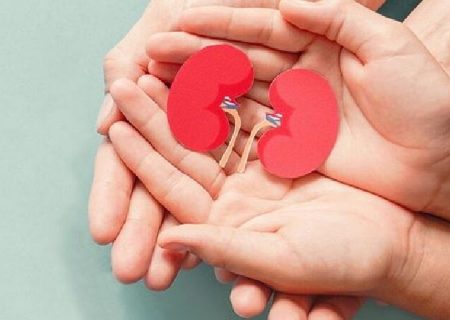 اهدای عضو جوان مرگ مغزی مشهدی جان ۶ نفر را نجات داد
