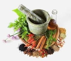 ارائه آموزش های گروهی طب سنتی در مراکز جامع خدمات سلامت خراسان رضوی