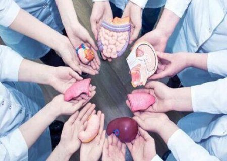 ۱۹ عمل پیوند برای بیماران گردشگر سلامت در مشهد انجام شد