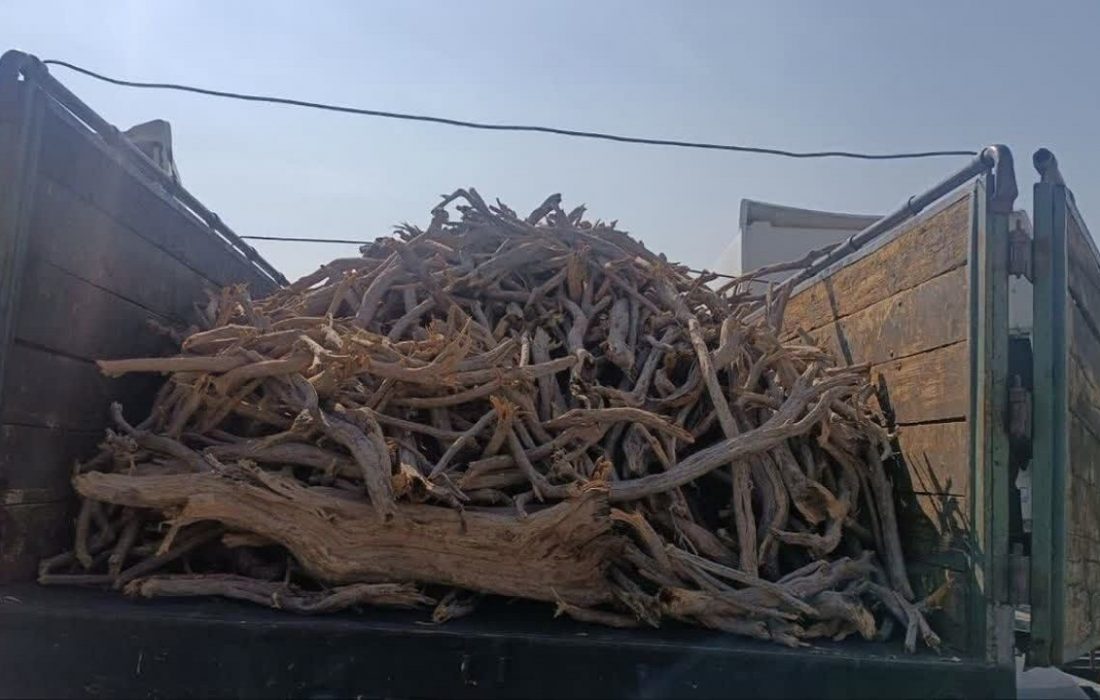 کشف بیش از چهار تن چوب جنگلی قاچاق در سبزوار