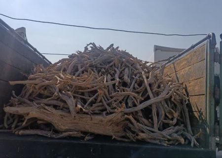 کشف بیش از چهار تن چوب جنگلی قاچاق در سبزوار