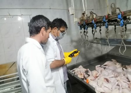 پنج هزار و ۵۲۵ تن گوشت سفید در سبزوار تولید شد