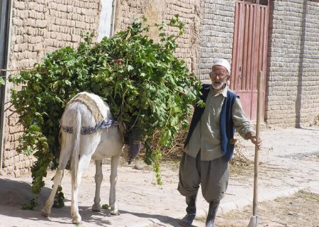 حال ناخوش روستائیان خراسان و گلایه‌های آنها