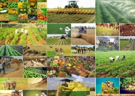 اختصاص ۷ میلیارد تومان تسهیلات به کشاورزی نیشابور