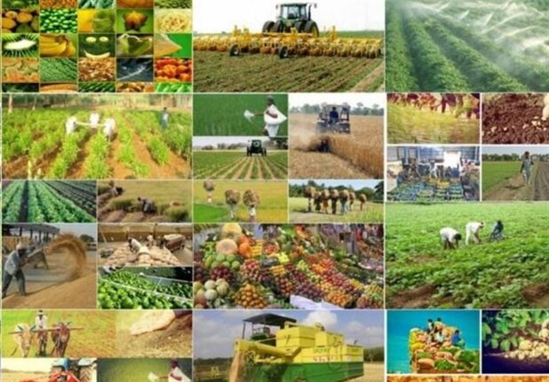 اختصاص ۷ میلیارد تومان تسهیلات به کشاورزی نیشابور