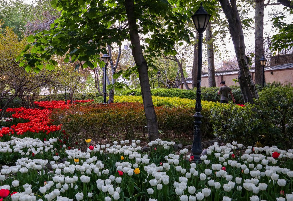 سرانه فضای سبز در مشهد ۱۹ متر مربع است