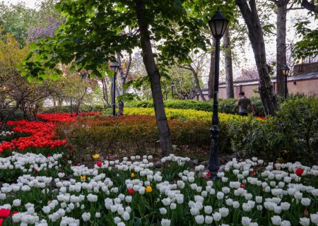 سرانه فضای سبز در مشهد ۱۹ متر مربع است