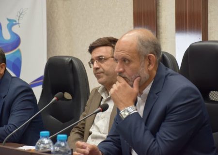 فرماندار تربت حیدریه بر کاهش ۲۰ درصدی مصرف برق اداره های دولتی تاکید کرد