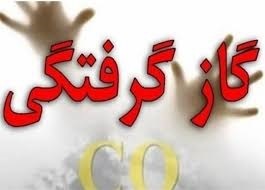 افزایش ۳۳ درصدی گازگرفتگی در مناطق زیر پوشش دانشگاه علوم پزشکی مشهد