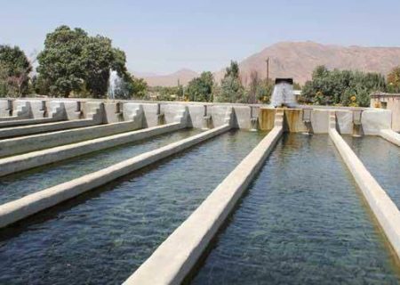 فعالیت ۳۴ مزرعه پرورش ماهی در کلات