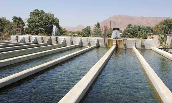 فعالیت ۳۴ مزرعه پرورش ماهی در کلات