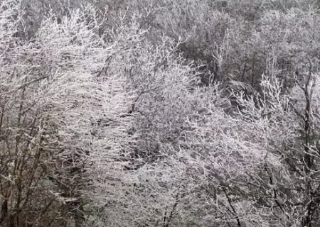 ورود گردشگران به دره چهلمیر ممنوع شد