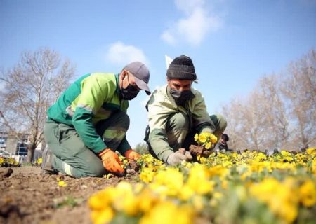 کاشت گل‌های بهاری در ۱۶ هکتار از سطح شهر