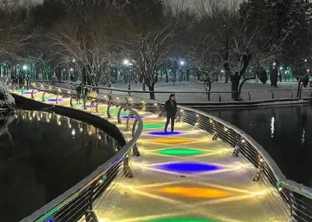 اجرای ۲۶۰ طرح خلاقانه فضای سبز مشهد در بهار ۱۴۰۴