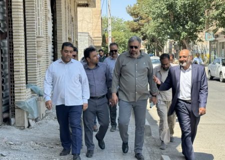 محله رضوی، هفتمین مقصد طرح «یکشنبه‌های خدمت علوی» درسبزوار