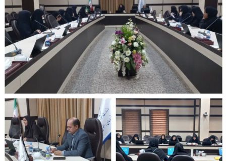 تمرکز بر نقش دختران در همبستگی اجتماعی در دومین جلسه کارگروه دختران استان خراسان رضوی