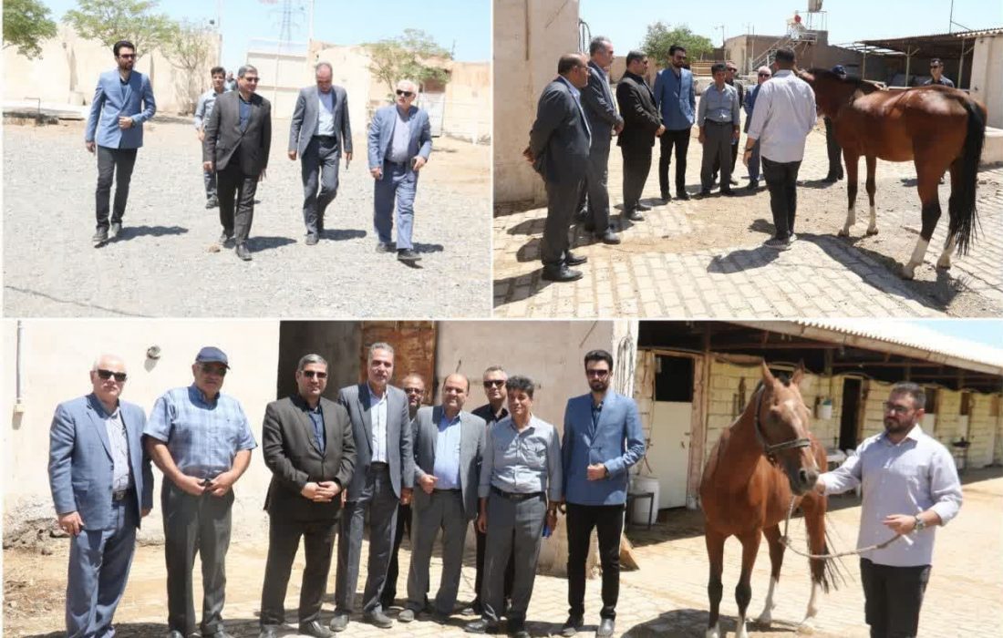 صدور نخستین پروانه صنعتی پرورش و تکثیر اسب در سبزوار