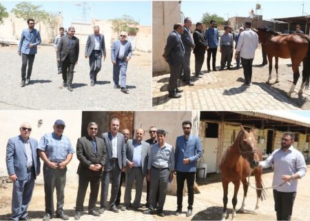 صدور نخستین پروانه صنعتی پرورش و تکثیر اسب در سبزوار