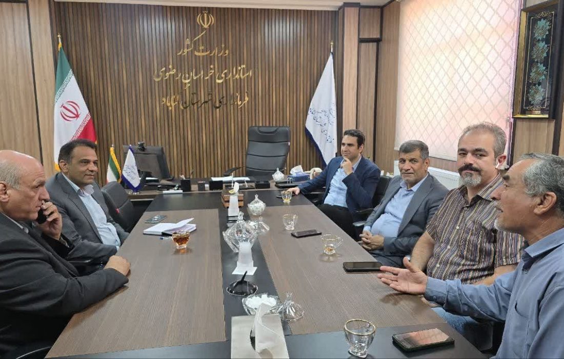 موانع سرمایه گذاری در حوزه «مگاپروژه فروسیلیس و شمش منیزیم آتین گناباد» بررسی شد