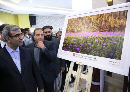 آغاز به کار جشنواره ملی زعفران باحضور استاندار خراسان رضوی