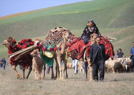 ارائه ۲۷ هزار تن نهاده دامی و اجرای پروژه‌های زیرساختی برای عشایر کاشمر