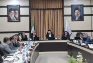 هدف‌گذاری برای دستیابی به ظرفیت یک‌هزار مگاوات تا پایان خرداد ۱۴۰۶